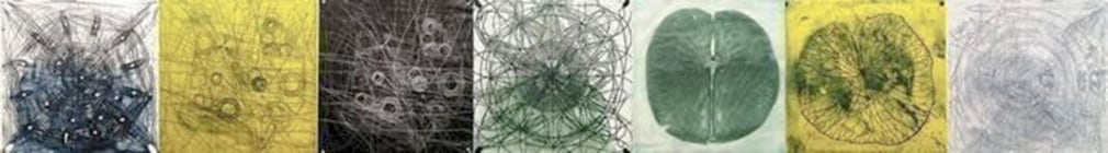 Untitled, (Large Horizontal Lilypad), 2000, Encaustic etching