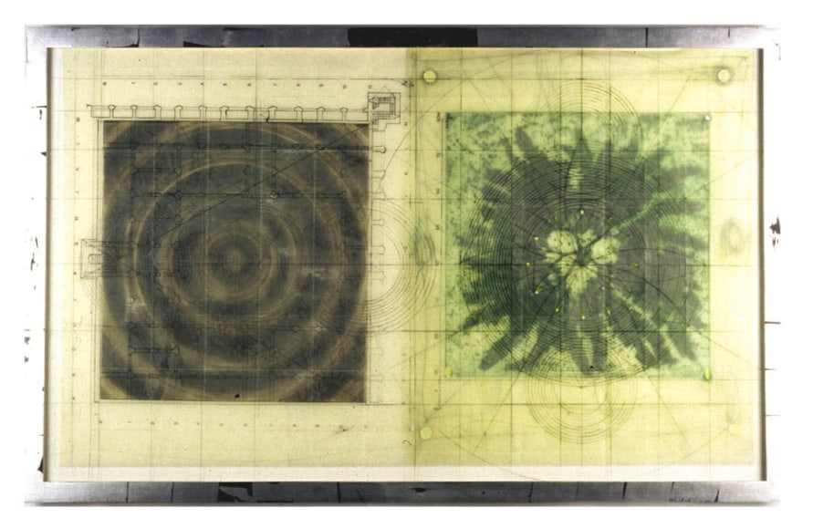 Untitled (Target, Fern, Scored Plexi), 2000, Mixed Media