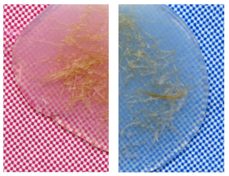 Detail #1 &amp; 2 (Ortega Taco Kit), 2016 Archival pigment prints 33 1/2 x 23 inches each, diptych 1/1