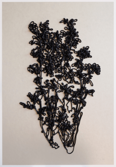 Andrew Millner, Black Rose, 2016
