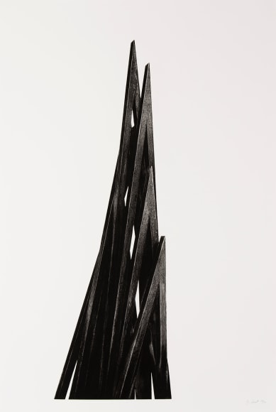 Acute Unequal Angles, 2017 Single plate etchings on copper with deep etched photo etching, aquatint, burnishing and drypoint 74 1/2 x 48 inches Edtion 28/30