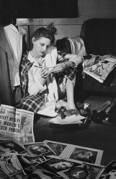 Jane Hammond: Recent Work