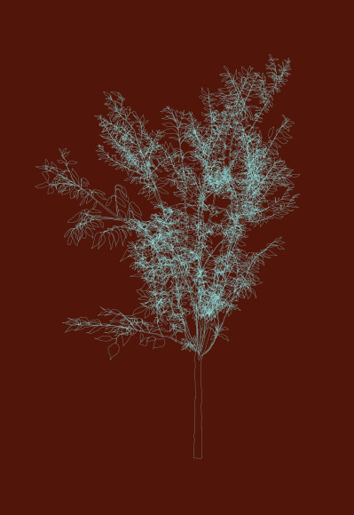 Andy Millner Turquoise Cherry, 2014