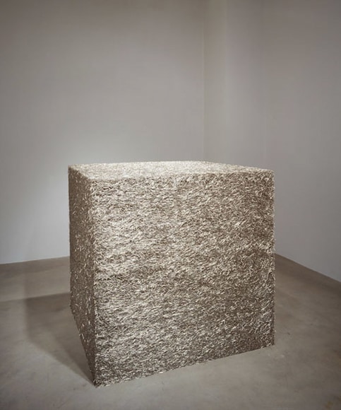 Tara Donovan, Untitled (Pins), 2004