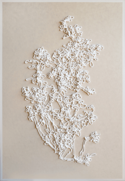 Andrew Millner, White Rose, 2016