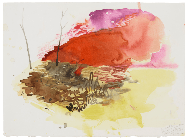 Incandescent Tangle IX, 2008 Ink, watercolor and soft pastel on paper 11 x 15 inches