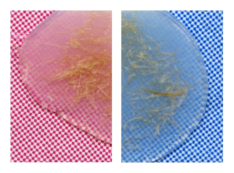 Diptych: Detail #1 & 2 (Ortega Taco Kit), 2016, Archival pigment prints