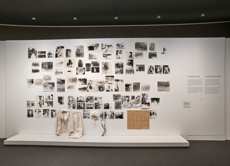 Barbara T. Smith, Barbara T. Smith: The Way to Be