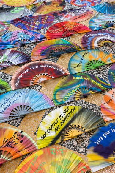 Andrea Bowers,&nbsp;Moving in Space without Asking Permission