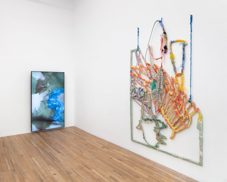 Julien Creuzet Installation View