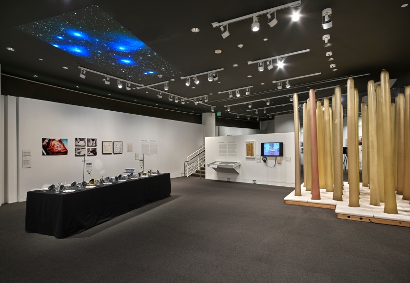 Barbara T. Smith, Barbara T. Smith: The Way to Be