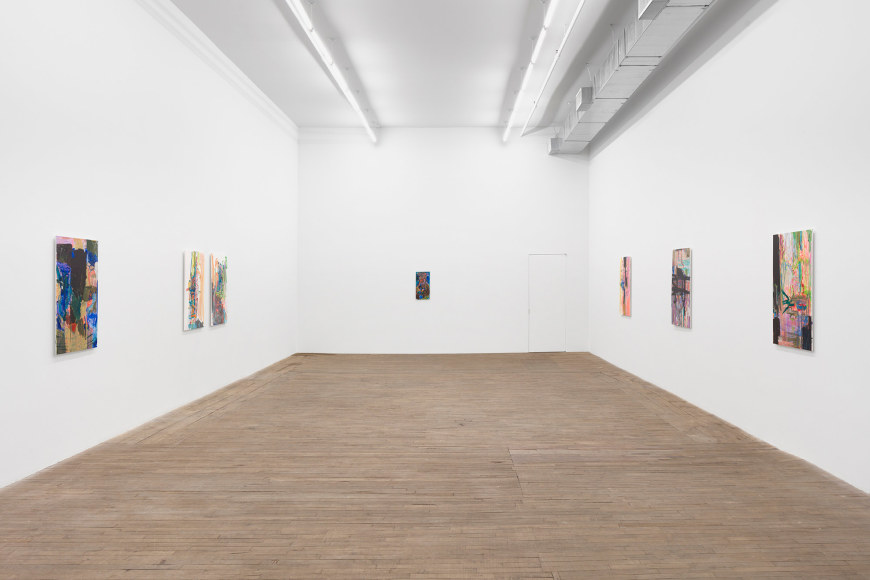Hayley Tompkins, Features, February 25 - March 26, 2022, 55 Walker Street, Andrew Kreps Gallery, New York