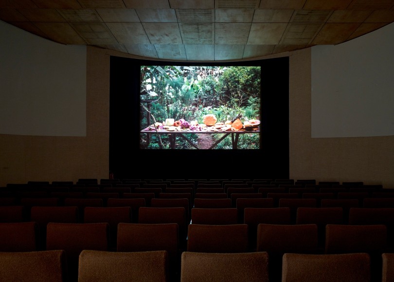 Jo&atilde;o Maria Gusm&atilde;o + Pedro Paiva, The Missing Hippopotamus
