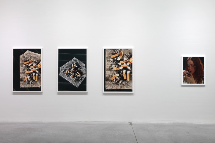 Roe Ethridge September 27, 2012 - January 13, 2013,&nbsp;Museum Leuven, Leuven, Belgium​​​​​​​