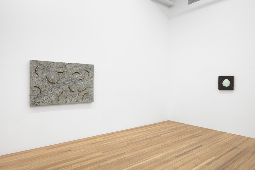 Erika Verzutti Installation View