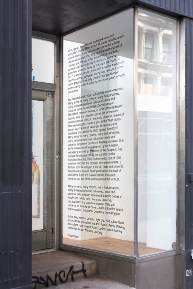 Julien Creuzet Installation View