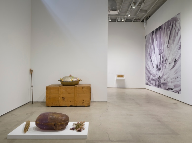 Barbara T. Smith, Proof