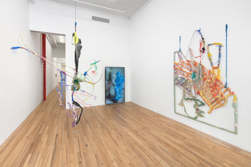 Julien Creuzet Installation View
