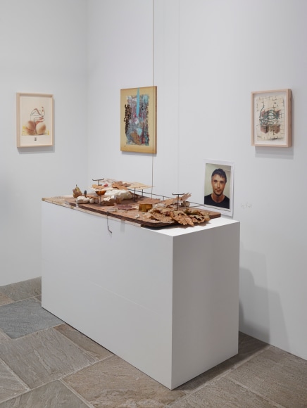 Uri Aran, Whitney Biennial 2014