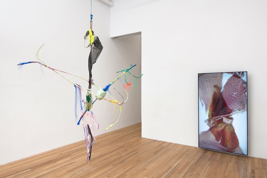 Julien Creuzet Installation View