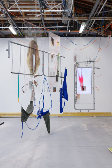 Julien Creuzet, Installation view