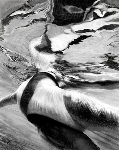 Lorraine Shemesh, Suspension, 2013