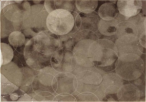 Erin Parish, Snorkel Depth, 2005