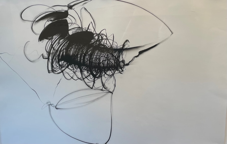 Swag, 2007, Pastel and graphite on paper