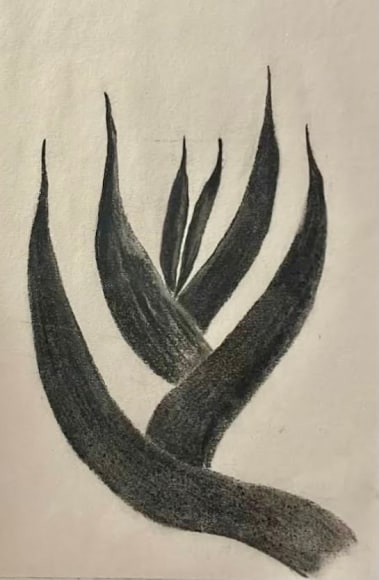 Rebecca James, Gladiola Leaves #3, ca 1922