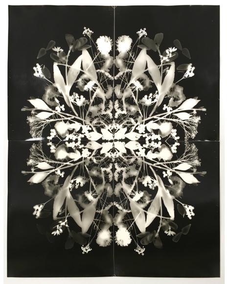 Wendy Small, Remedy (100th Bday), 2017