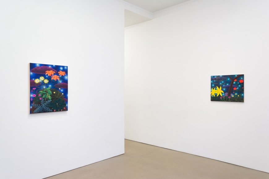 Amy Lincoln: Sun, Moon, Stars, 2018, (Installation view)