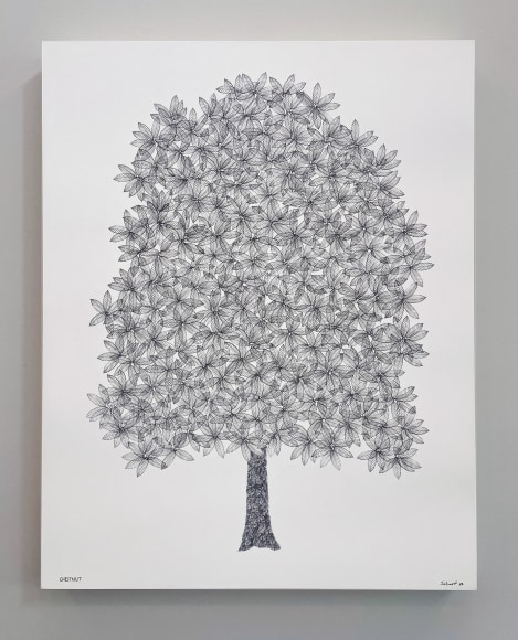 John Salvest, Chestnut, 2022