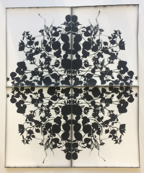 Wendy Small, Remedy (BW June School), 2019