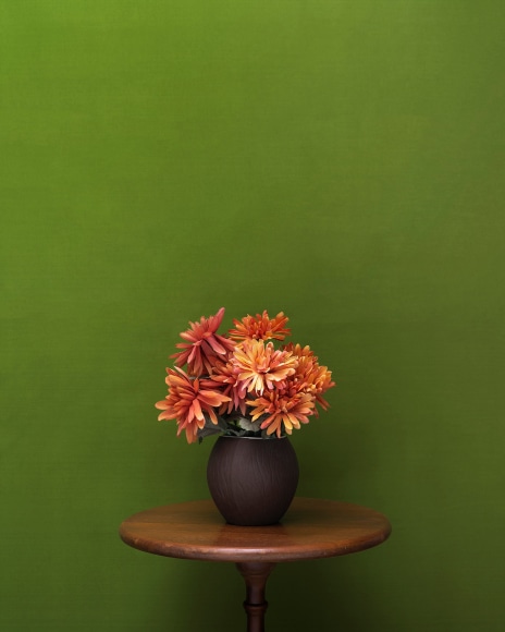 Coconut Vase, 2018