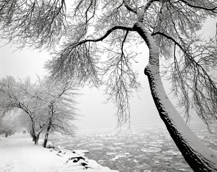 Diane Cook, Riverside Park, Manhattan, 2004