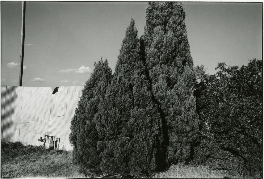 untitled, from American Roadside Monuments, c. 1975