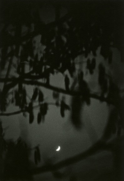 Untitled, ca. 1960's