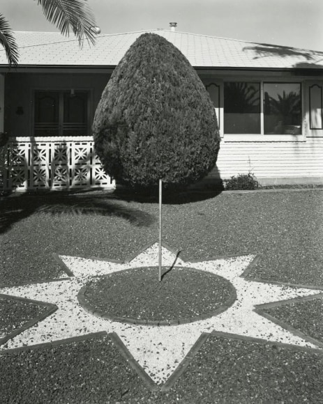 Sun City 1985