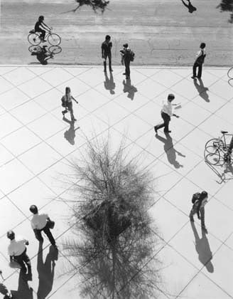 Reader, 1984 gelatin silver print