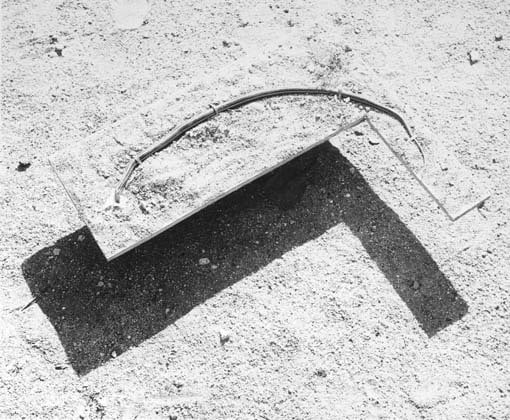 Star's Snake, 1980