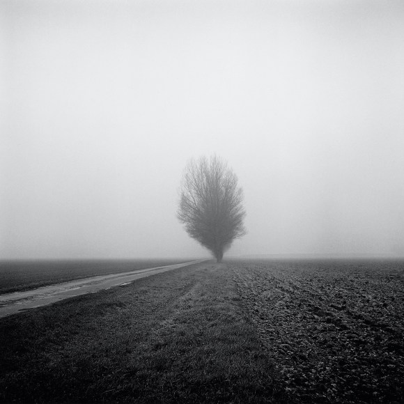 Lundy's Farm, from the series Farmed, 2013