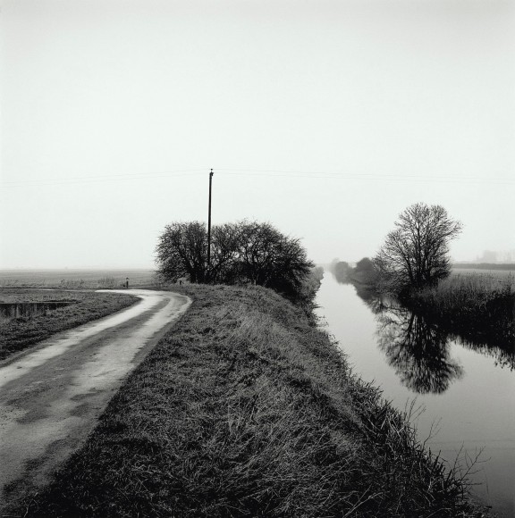 Cherry Corner, from the series Drained, 2017