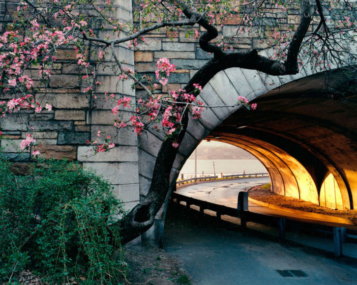 Len Jenshel, Riverside Park, (Manhattan), 2001
