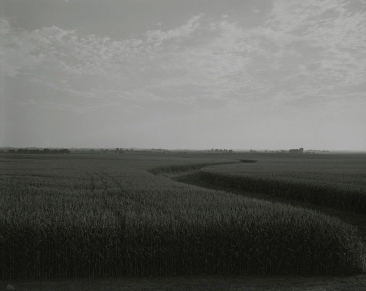 untitled, Illinois Landscape