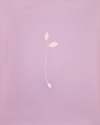 Tracing Shadow #93