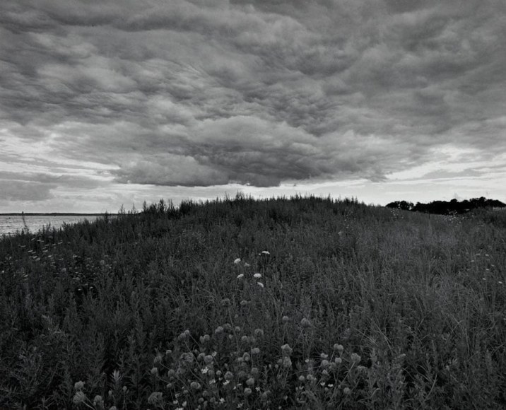 Diane Cook, Lemon Creek, New York (Staten Island), 2002