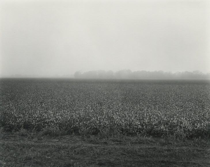 Vicksburg, Mississippi, 1984