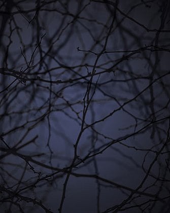 Dusk #3, 2003