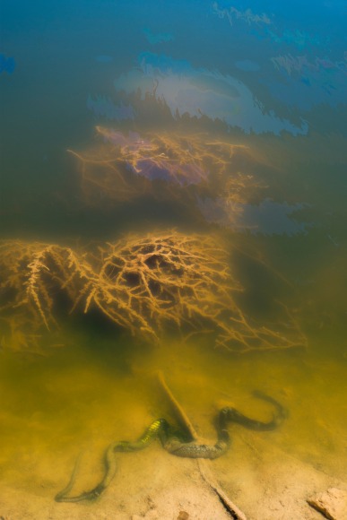 Fracking Pond: Midland, Texas. , from the series, Beneath the Dirt of Great Men