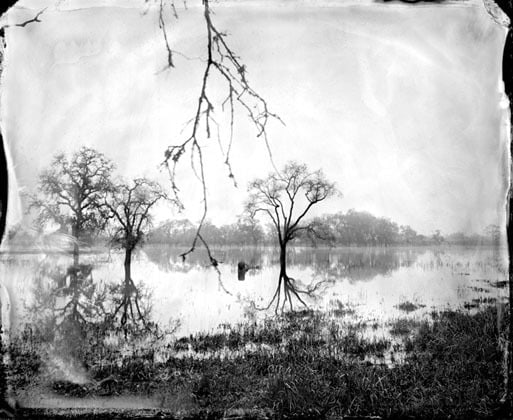 Flooded Oaks 2010